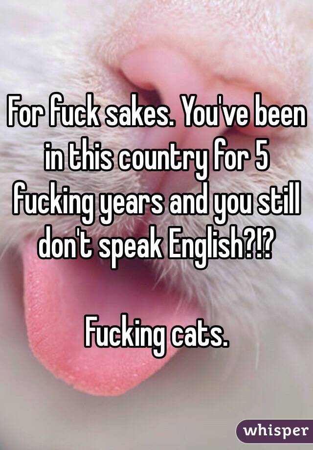 For fuck sakes. You've been in this country for 5 fucking years and you still don't speak English?!?

Fucking cats. 