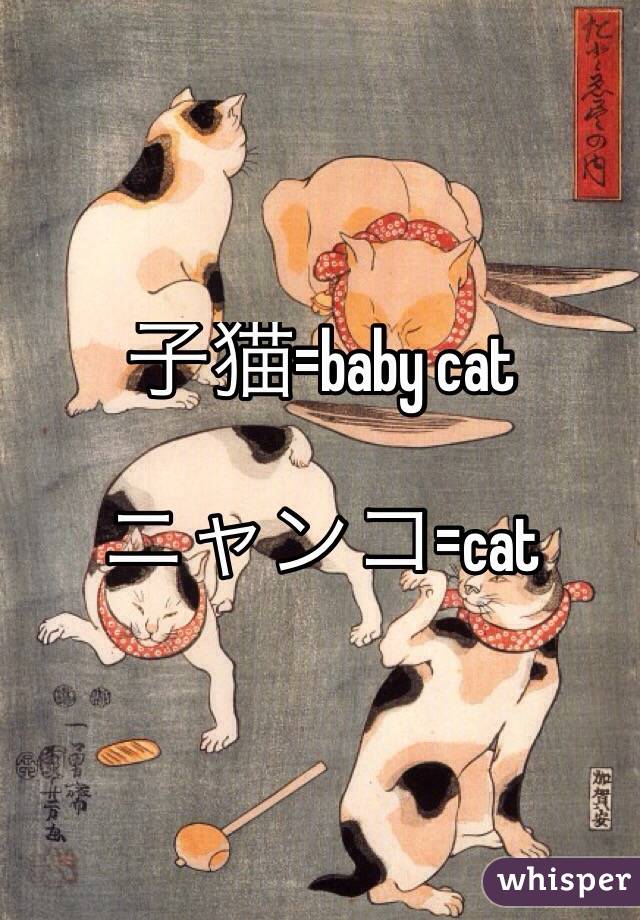 子猫=baby cat 

ニャンコ=cat