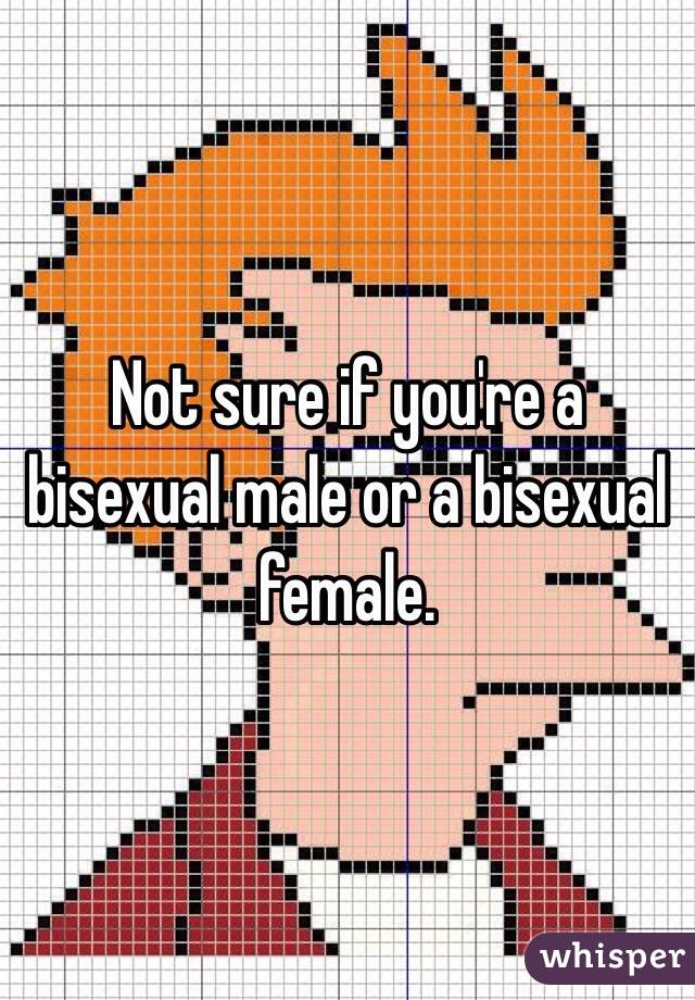 Not sure if you're a bisexual male or a bisexual female. 