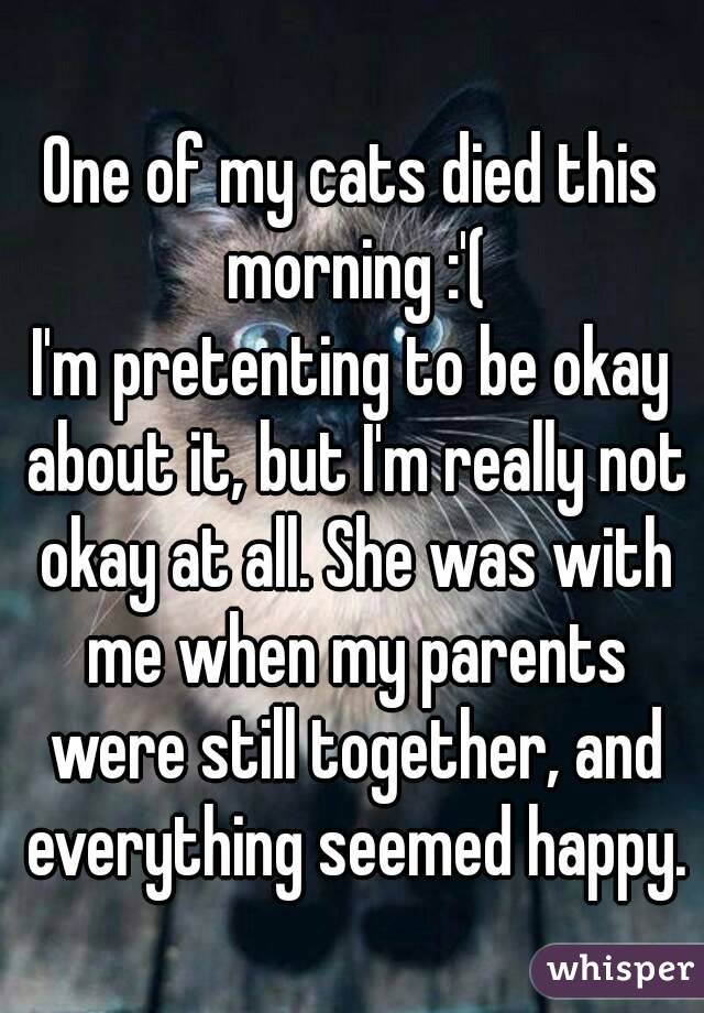 One of my cats died this morning :'(
I'm pretenting to be okay about it, but I'm really not okay at all. She was with me when my parents were still together, and everything seemed happy.