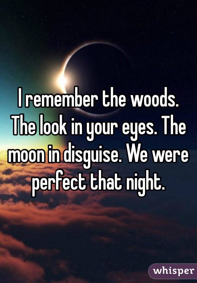 I remember the woods. The look in your eyes. The moon in disguise. We were perfect that night. 