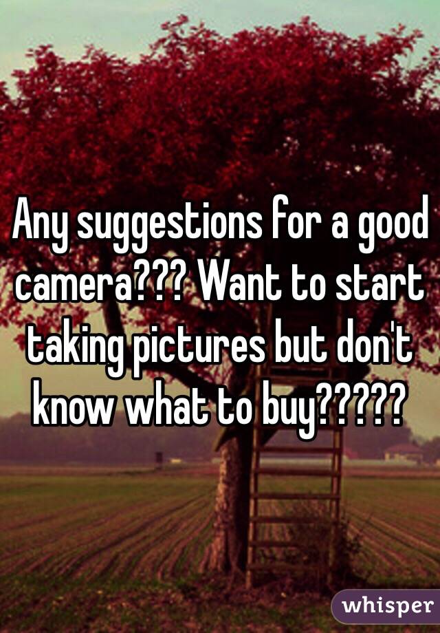 Any suggestions for a good camera??? Want to start taking pictures but don't know what to buy?????