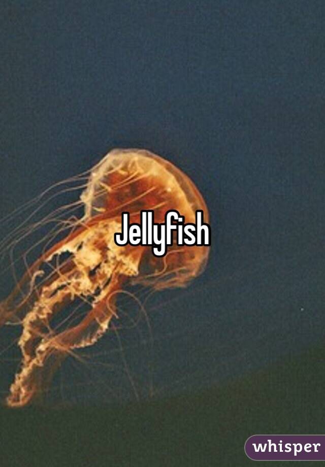 Jellyfish 