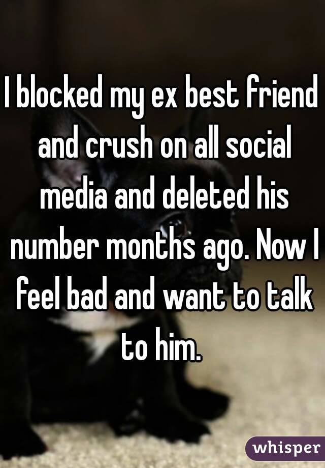 I blocked my ex best friend and crush on all social media and deleted his number months ago. Now I feel bad and want to talk to him. 