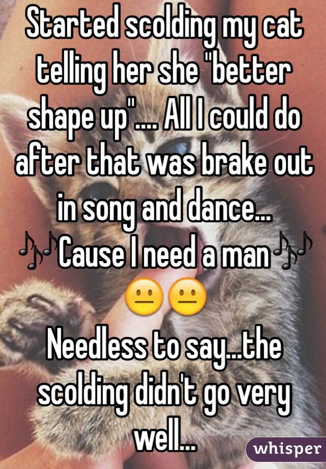 Started scolding my cat telling her she "better shape up".... All I could do after that was brake out in song and dance... 🎶Cause I need a man🎶
😐😐
Needless to say...the scolding didn't go very well...