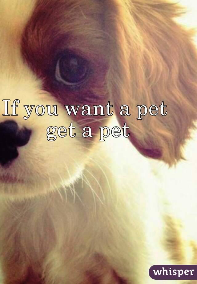 If you want a pet get a pet