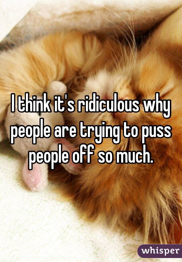 I think it's ridiculous why people are trying to puss people off so much.