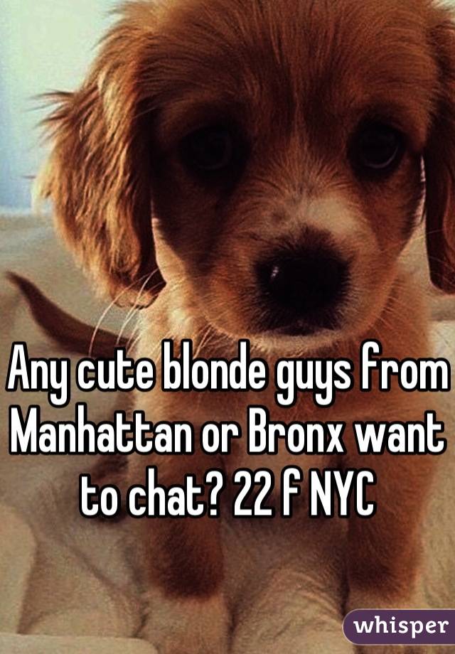 Any cute blonde guys from Manhattan or Bronx want to chat? 22 f NYC