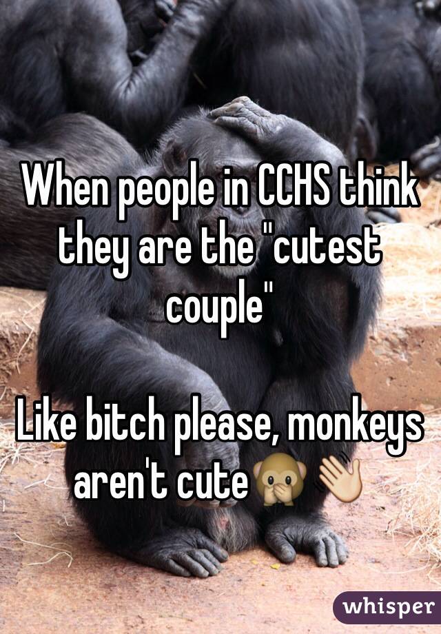 When people in CCHS think they are the "cutest couple" 

Like bitch please, monkeys aren't cute🙊👋