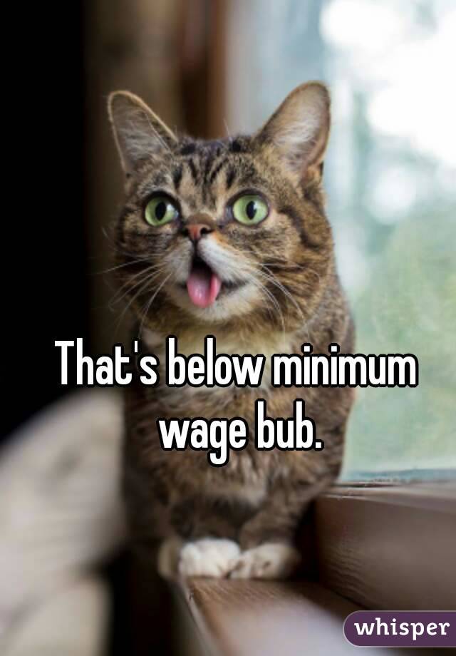 That's below minimum wage bub.