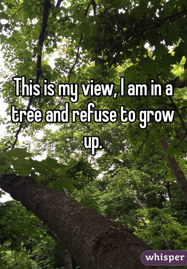 This is my view, I am in a tree and refuse to grow up.