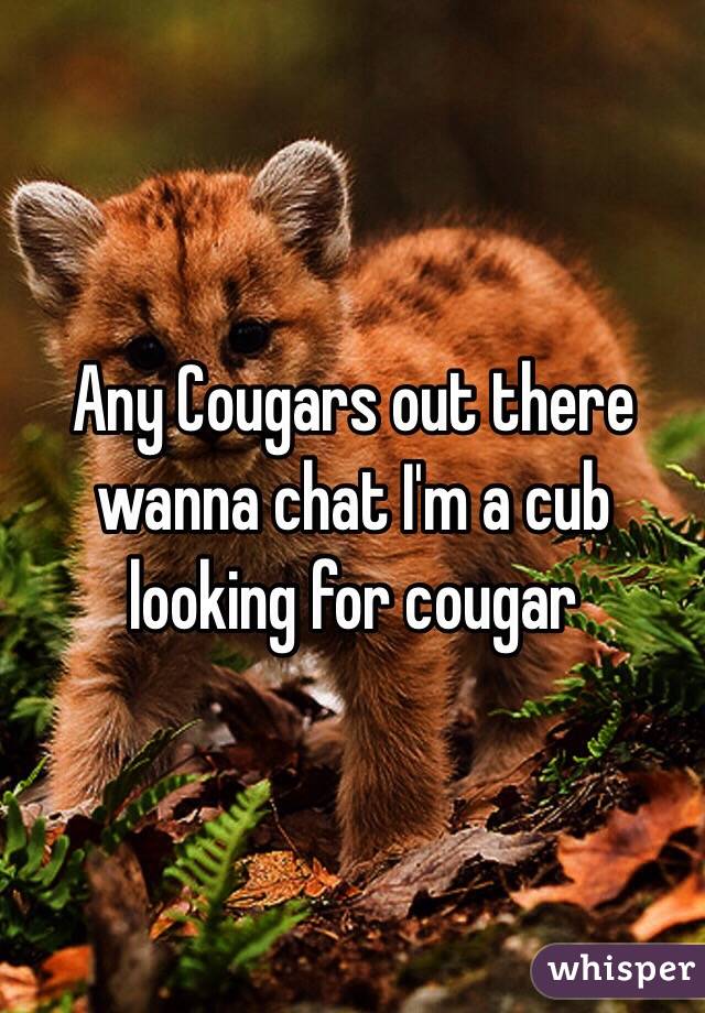 Any Cougars out there wanna chat I'm a cub looking for cougar 