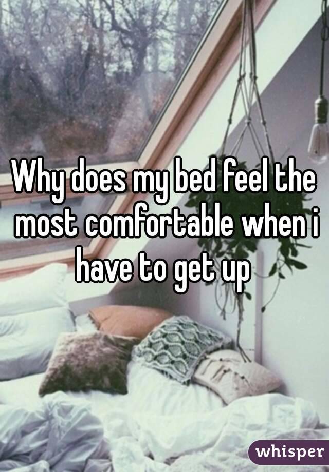 Why does my bed feel the most comfortable when i have to get up 