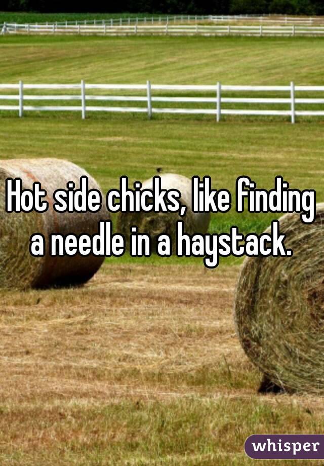 Hot side chicks, like finding a needle in a haystack. 