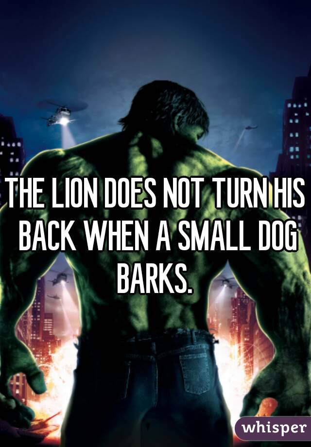 THE LION DOES NOT TURN HIS BACK WHEN A SMALL DOG BARKS. 