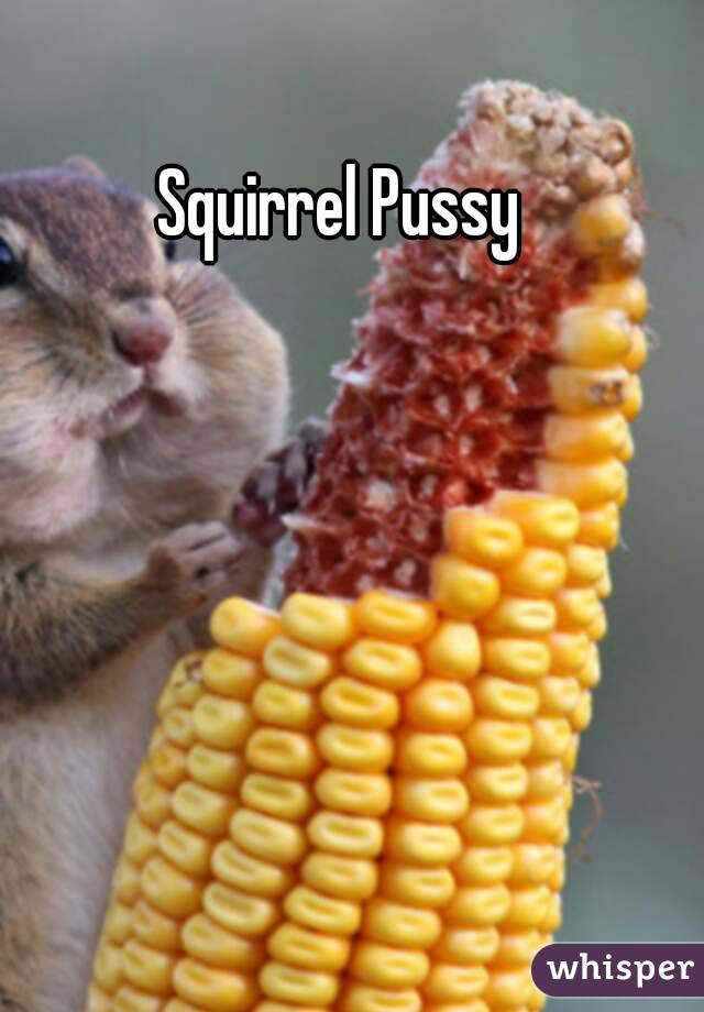 Squirrel Pussy