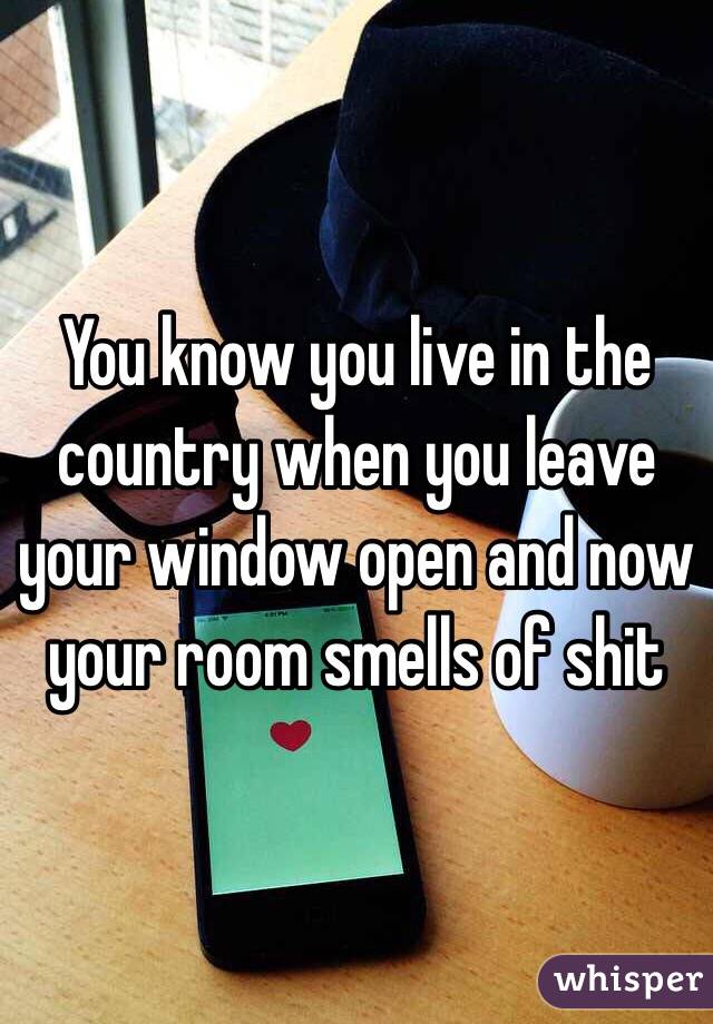 You know you live in the country when you leave your window open and now your room smells of shit