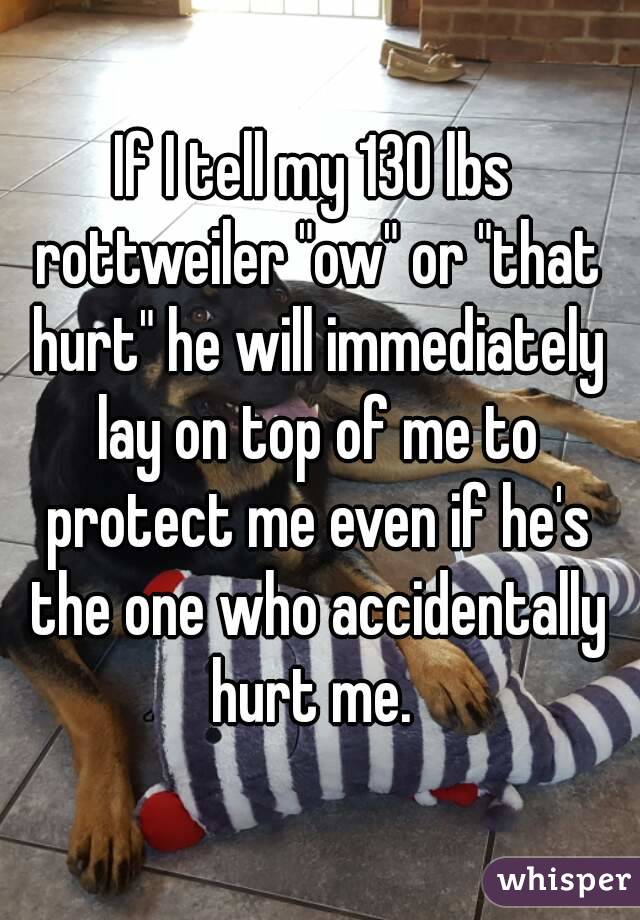 If I tell my 130 lbs rottweiler "ow" or "that hurt" he will immediately lay on top of me to protect me even if he's the one who accidentally hurt me. 