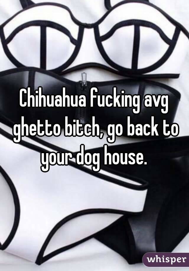 Chihuahua fucking avg ghetto bitch, go back to your dog house. 