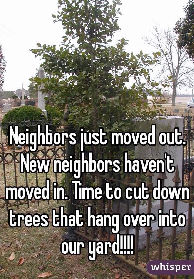 Neighbors just moved out. New neighbors haven't moved in. Time to cut down trees that hang over into our yard!!!!