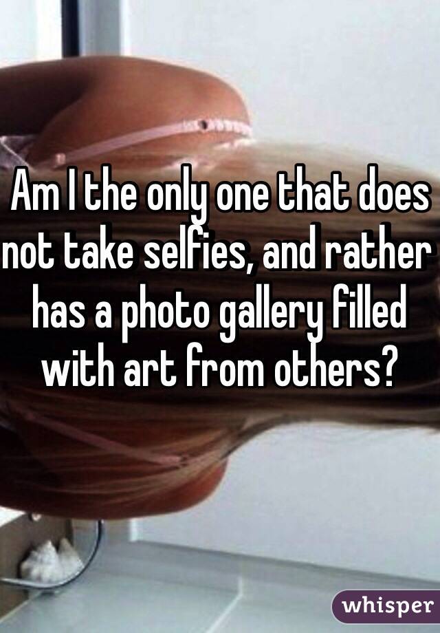 Am I the only one that does not take selfies, and rather has a photo gallery filled with art from others?