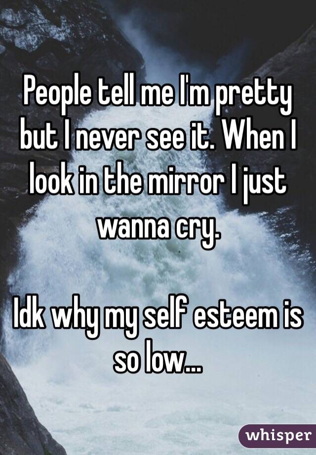 People tell me I'm pretty but I never see it. When I look in the mirror I just wanna cry.

Idk why my self esteem is so low...