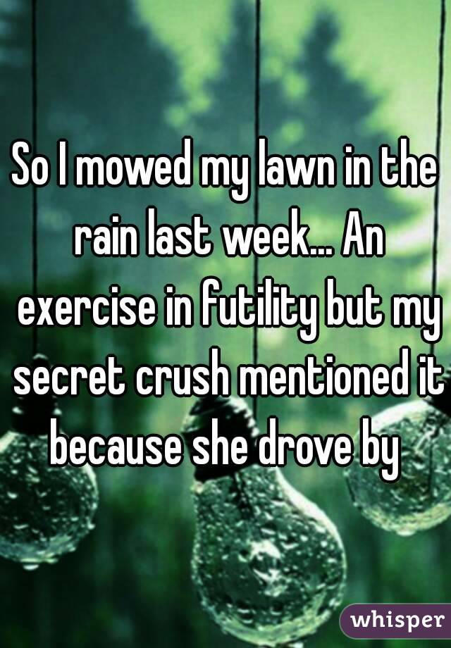 So I mowed my lawn in the rain last week... An exercise in futility but my secret crush mentioned it because she drove by 