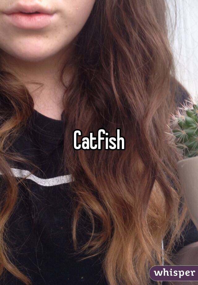 Catfish 