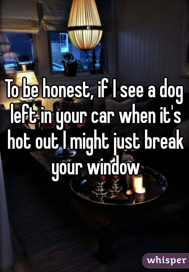 To be honest, if I see a dog left in your car when it's hot out I might just break your window