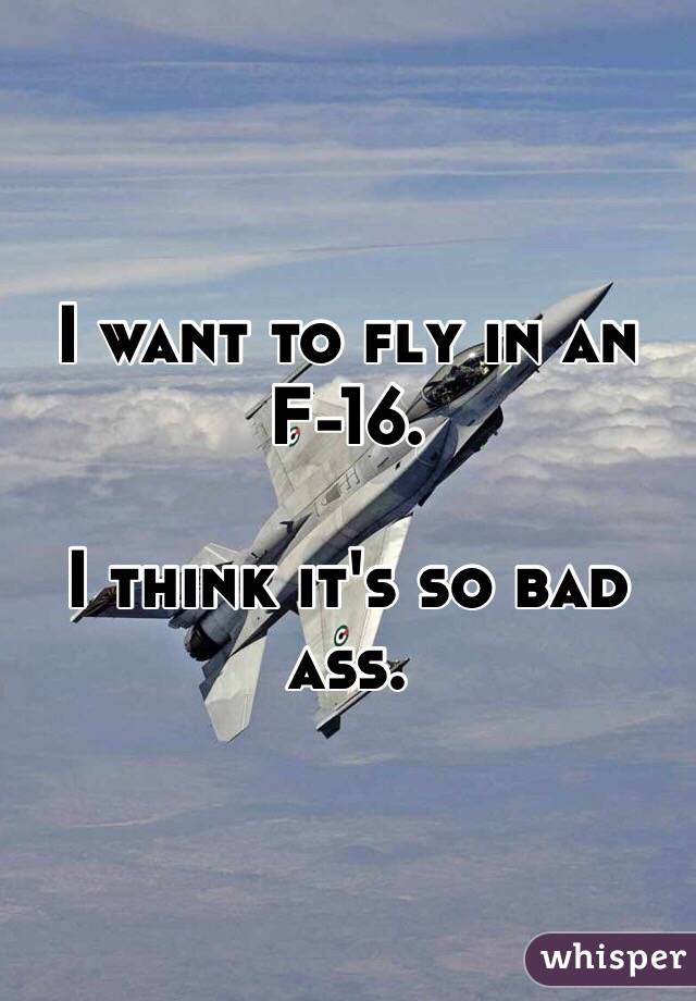 I want to fly in an F-16. 

I think it's so bad ass.