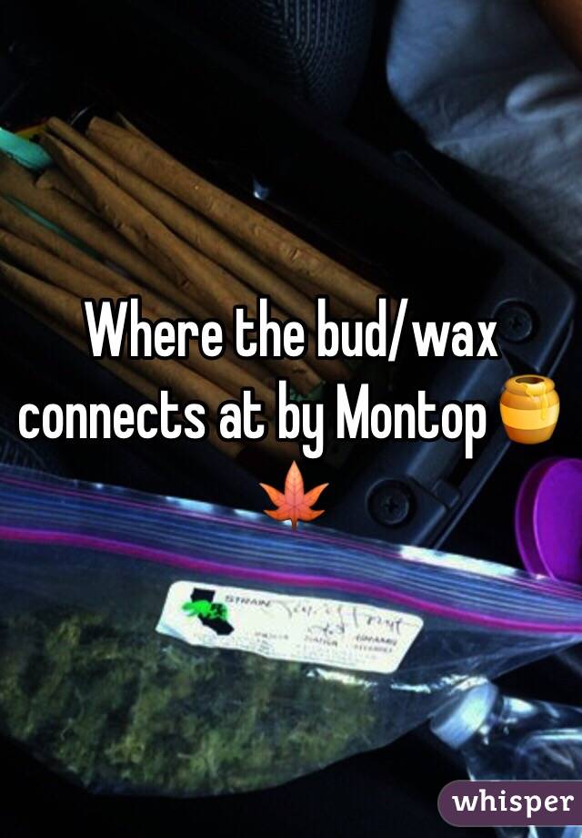 Where the bud/wax connects at by Montop🍯🍁