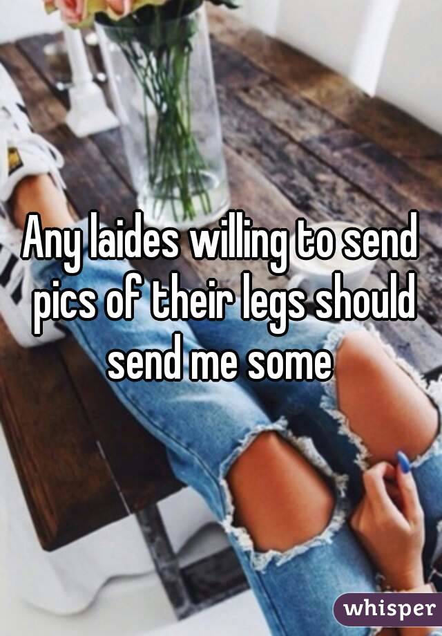 Any laides willing to send pics of their legs should send me some 