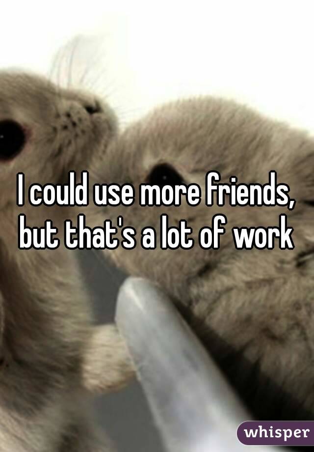 I could use more friends, but that's a lot of work 