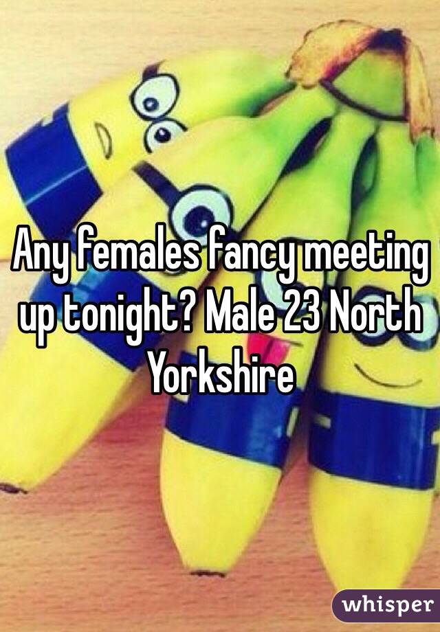 Any females fancy meeting up tonight? Male 23 North Yorkshire