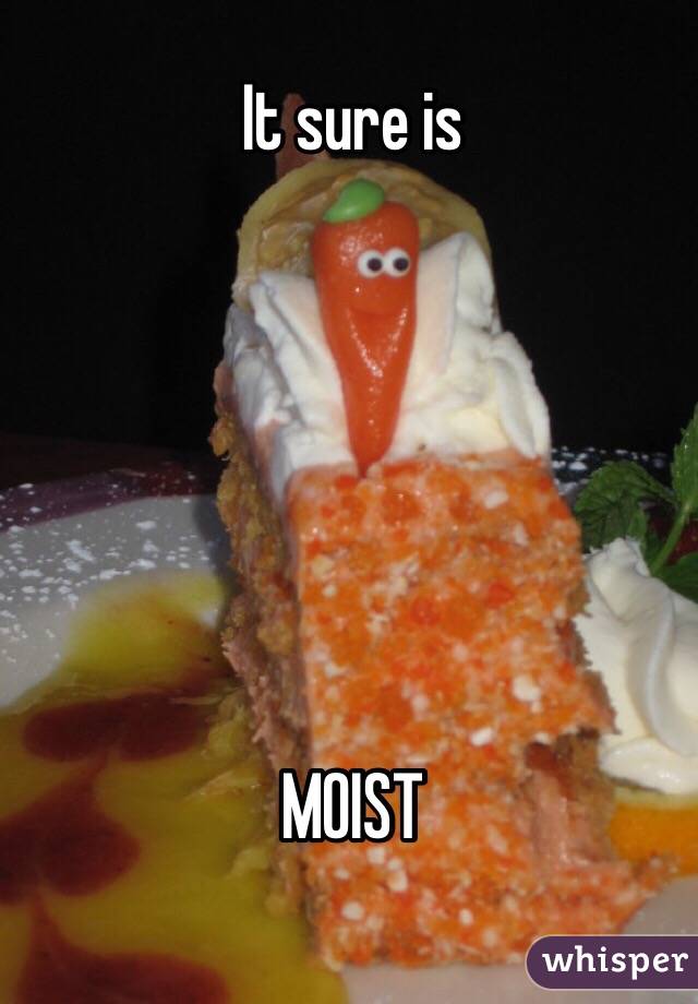 It sure is






MOIST