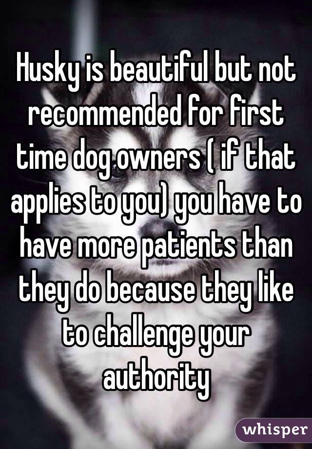 Husky is beautiful but not recommended for first time dog owners ( if that applies to you) you have to have more patients than they do because they like to challenge your authority