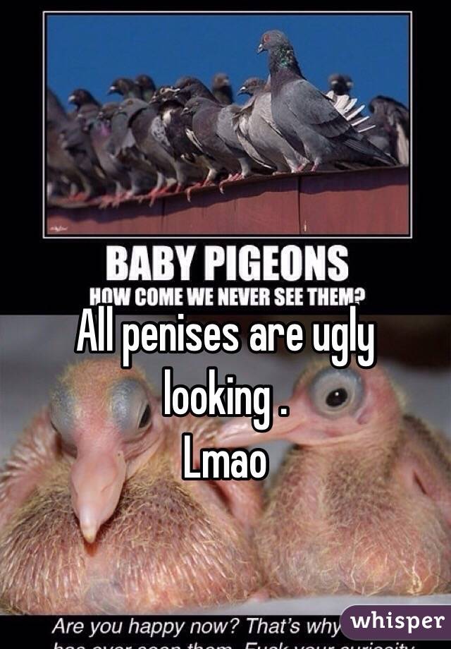 All penises are ugly looking . 
Lmao