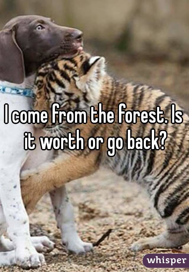 I come from the forest. Is it worth or go back?