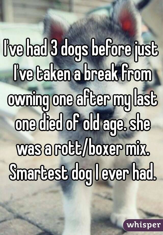 I've had 3 dogs before just I've taken a break from owning one after my last one died of old age. she was a rott/boxer mix. Smartest dog I ever had.