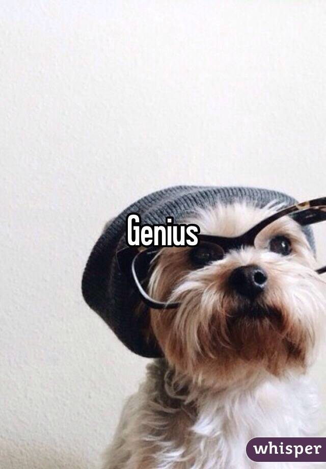 Genius