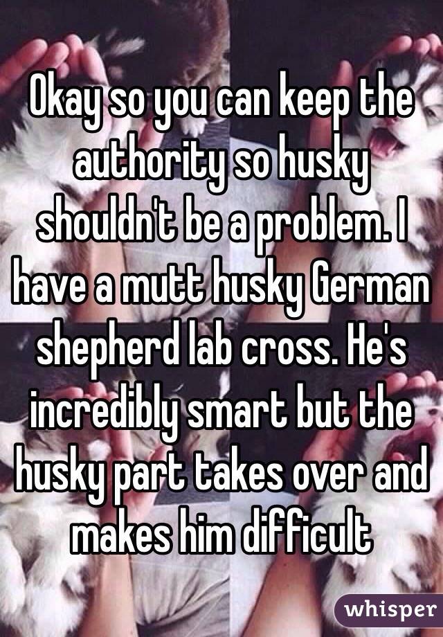 Okay so you can keep the authority so husky shouldn't be a problem. I have a mutt husky German shepherd lab cross. He's incredibly smart but the husky part takes over and makes him difficult