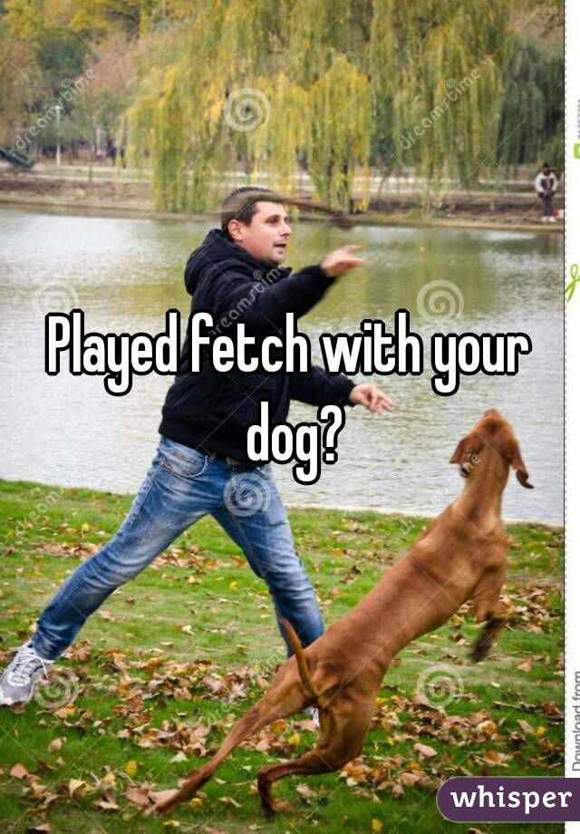 Played fetch with your dog?