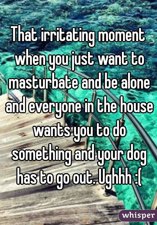 That irritating moment when you just want to masturbate and be alone and everyone in the house wants you to do something and your dog has to go out. Ughhh :(