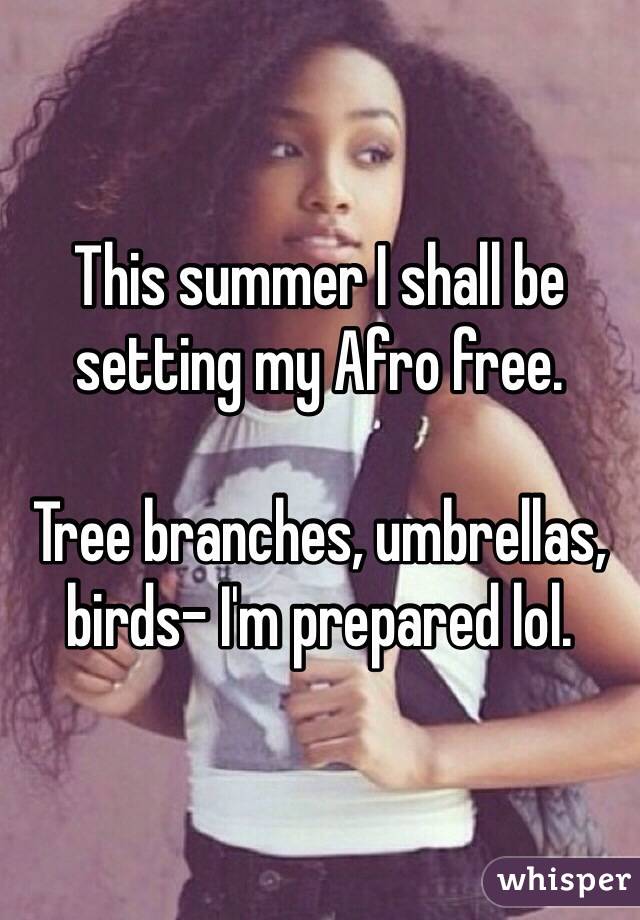 This summer I shall be setting my Afro free.

Tree branches, umbrellas, birds- I'm prepared lol.