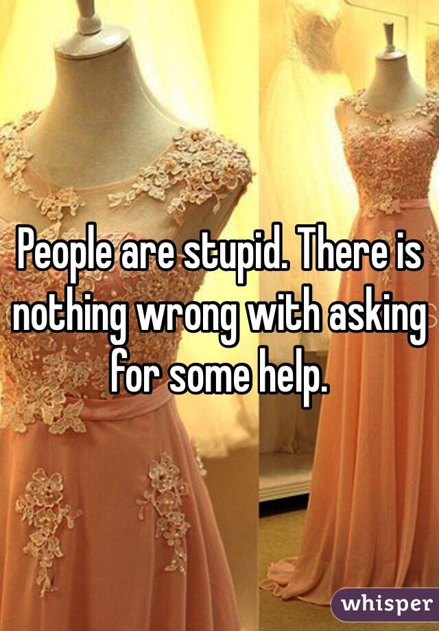 People are stupid. There is nothing wrong with asking for some help.