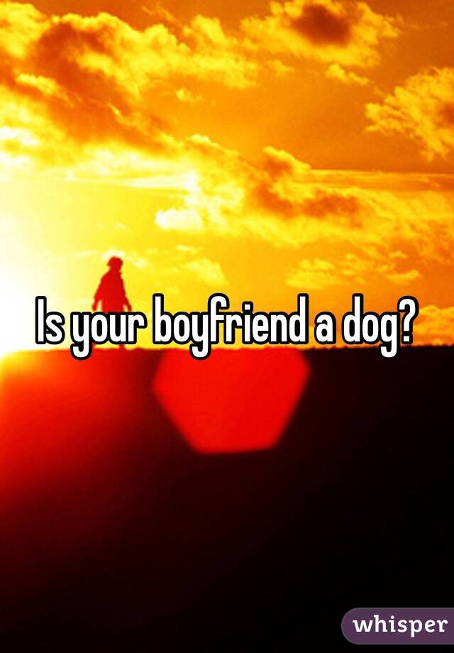 Is your boyfriend a dog?