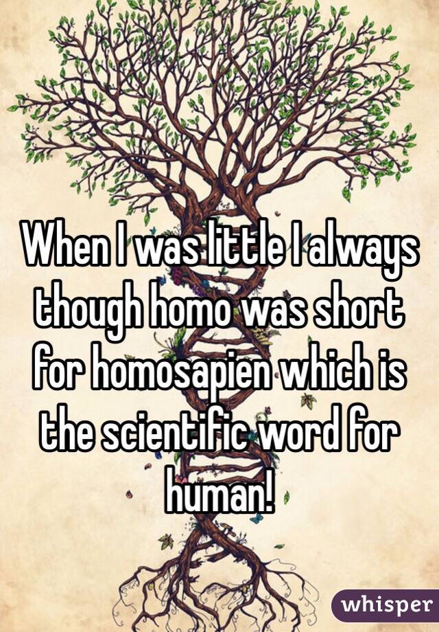 When I was little I always though homo was short for homosapien which is the scientific word for human! 