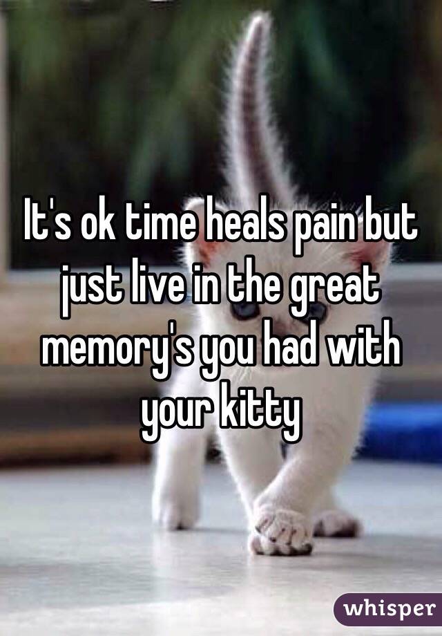 It's ok time heals pain but just live in the great memory's you had with your kitty 