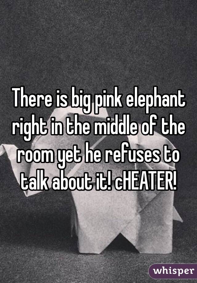 There is big pink elephant right in the middle of the room yet he refuses to talk about it! cHEATER!