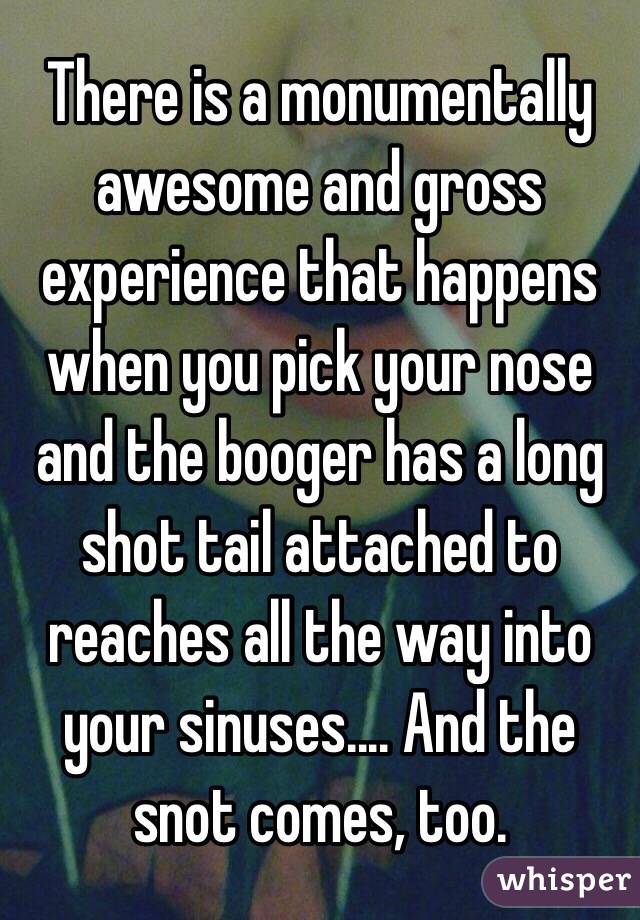 There is a monumentally awesome and gross experience that happens when you pick your nose and the booger has a long shot tail attached to reaches all the way into your sinuses.... And the snot comes, too.